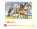 buvard-spigol 01
