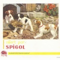 buvard-spigol 04
