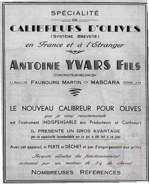 Calibreurs d' olives