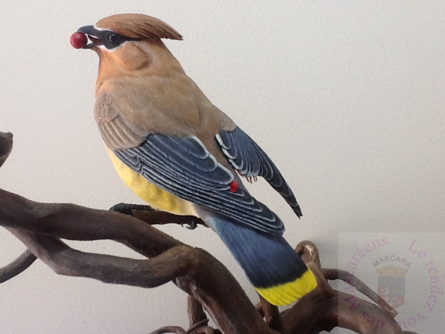 Concours Sculture G. FUENTES