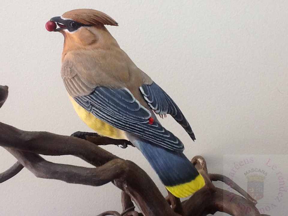 Concours Sculture G. FUENTES