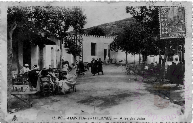 bou_hanifia_allee.jpg