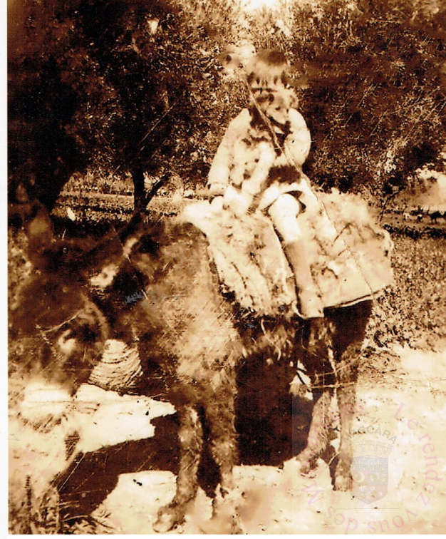 Ferme Maurice Maoussa