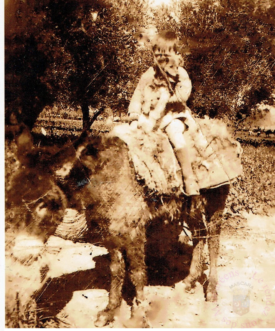 Ferme Maurice Maoussa