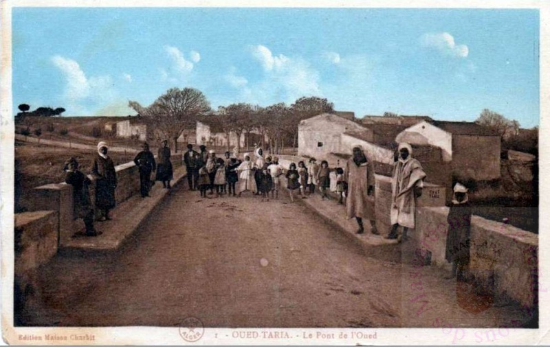oued-taria-pont-oued.jpg