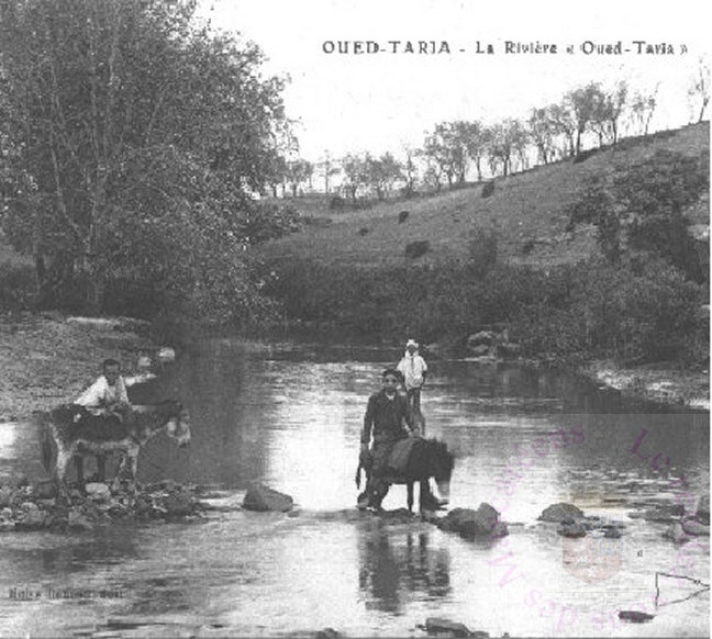 Oued Taria la rivière 