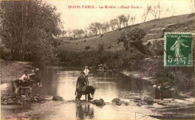 oued taria riviere