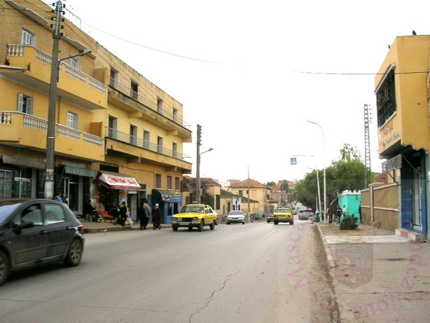 rue_tiaret.JPG