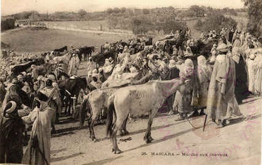 Marché aux chevaux