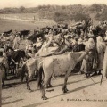 Marché aux chevaux