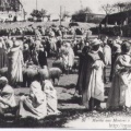 Marché aux moutons