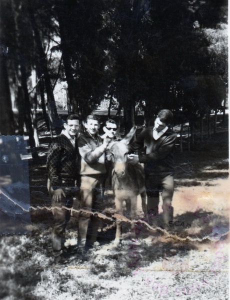 st-andre-amis-robert