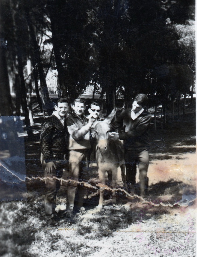 st-andre-amis-robert