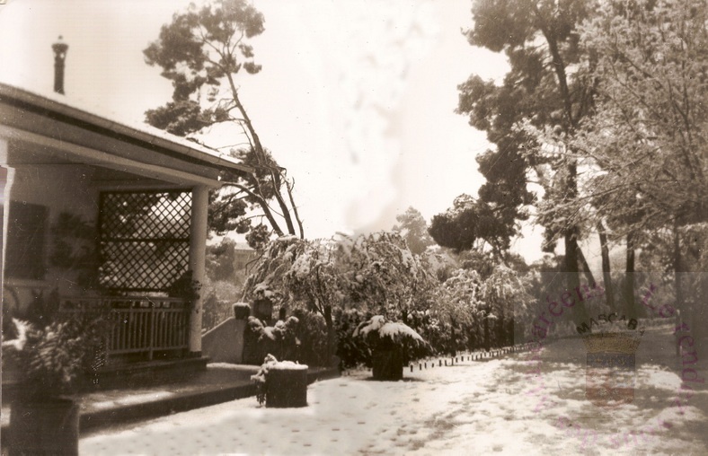 Jardin Pasteur jardinier