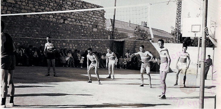 Volley