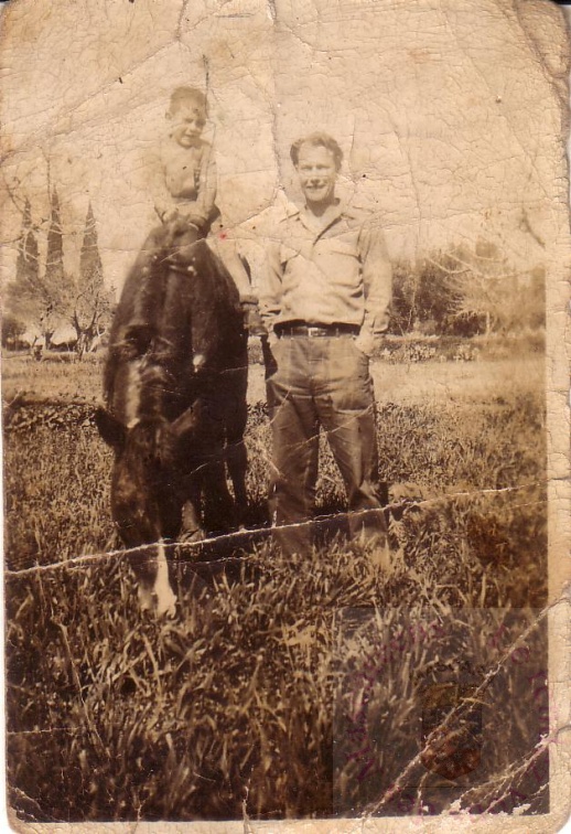 Maurice St Hippolyte