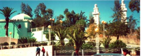 marabou sidi m boudjelel