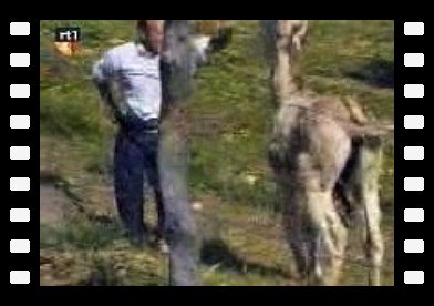 Ne pas faire n'importe où